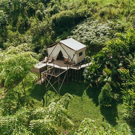 Glamping Entre Rios Otel Calarcá Dış mekan fotoğraf
