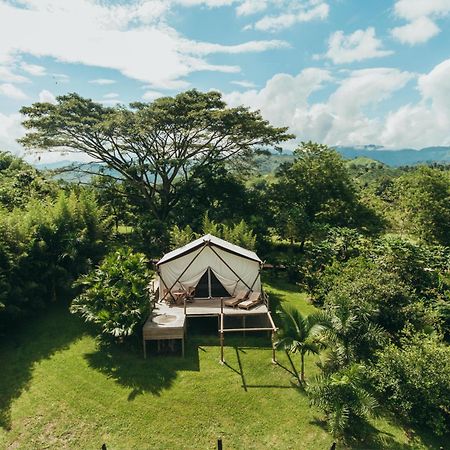 Glamping Entre Rios Otel Calarcá Dış mekan fotoğraf