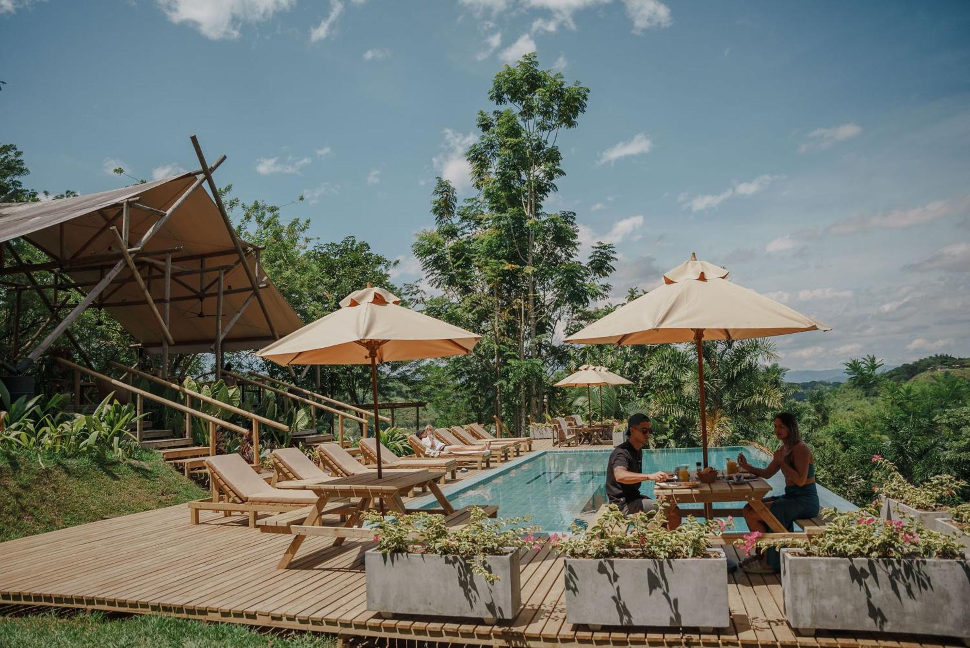 Glamping Entre Rios Otel Calarcá Dış mekan fotoğraf