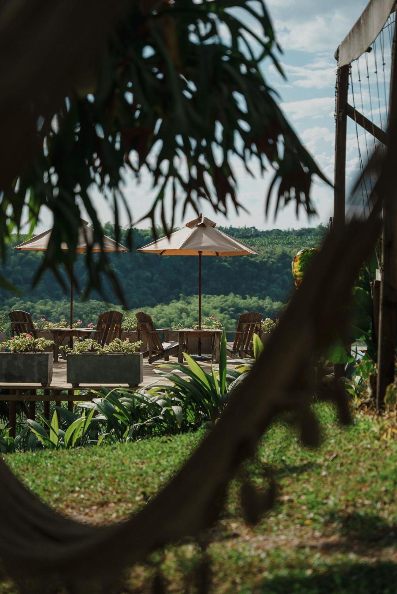 Glamping Entre Rios Otel Calarcá Dış mekan fotoğraf