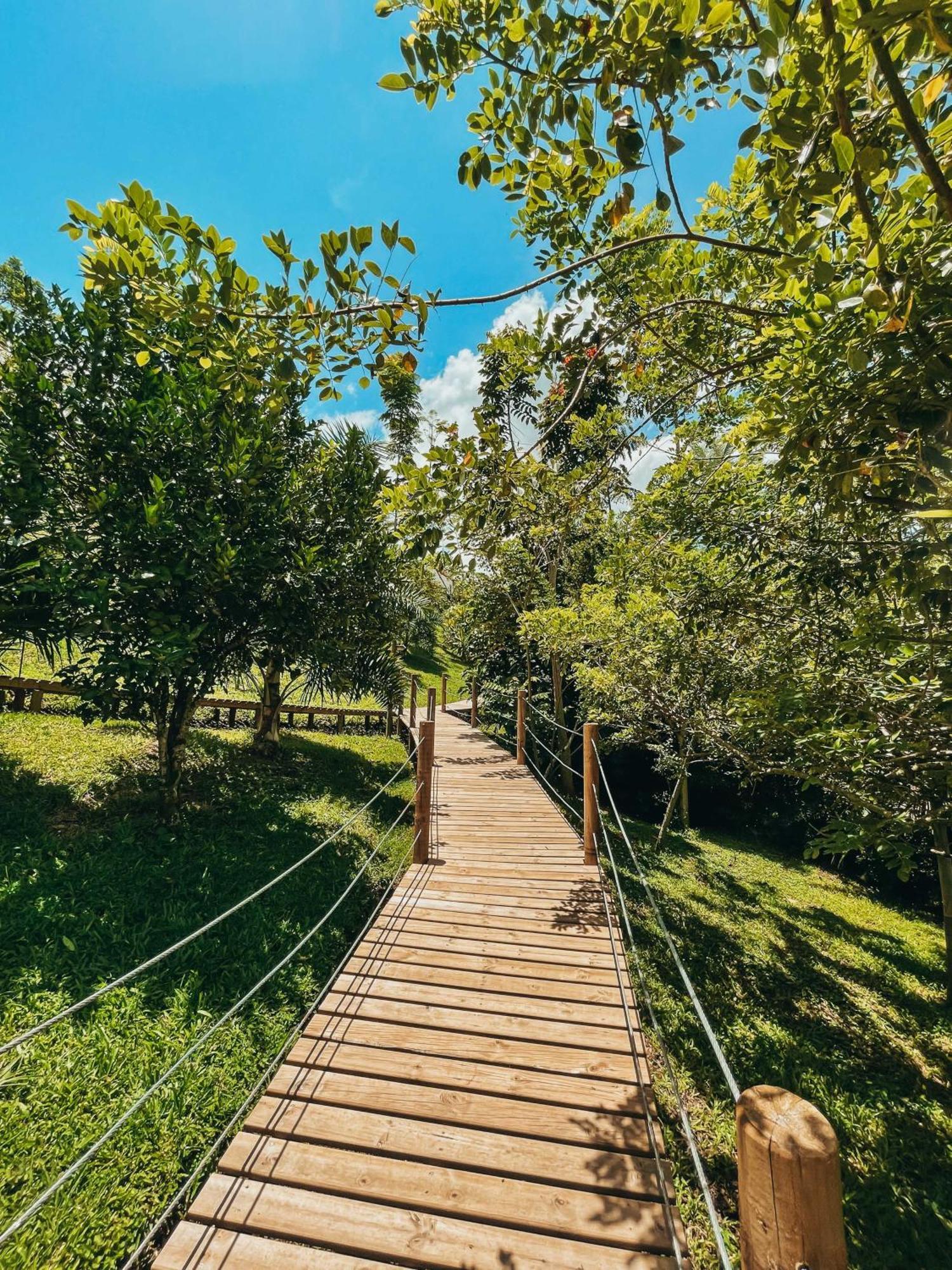 Glamping Entre Rios Otel Calarcá Dış mekan fotoğraf