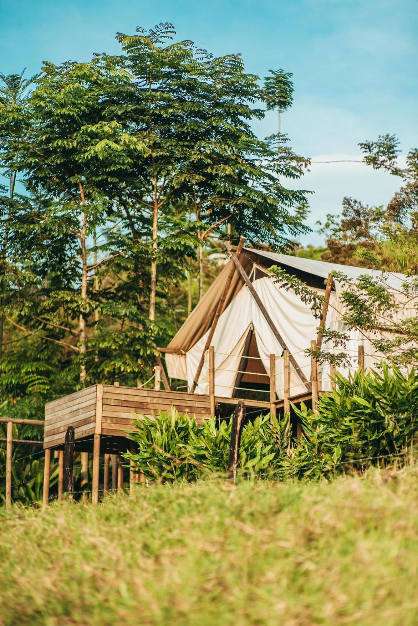 Glamping Entre Rios Otel Calarcá Dış mekan fotoğraf